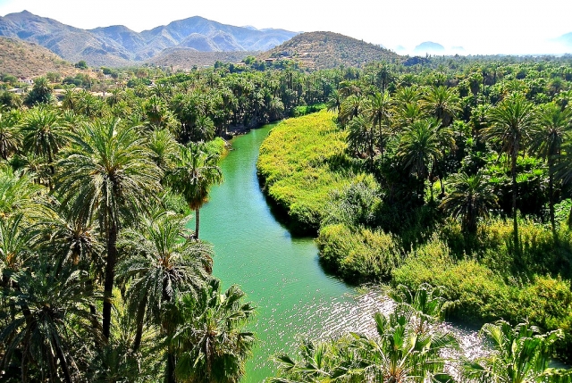  itinéraires de mangroves 